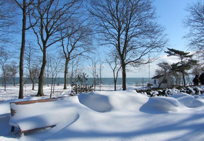 Festtage an der Ostseeküste